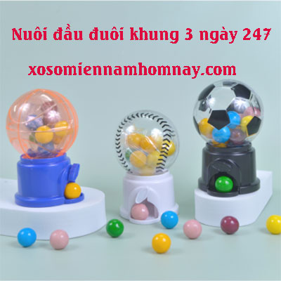 Nuoi-dau-duoi-khung-3-ngay-247